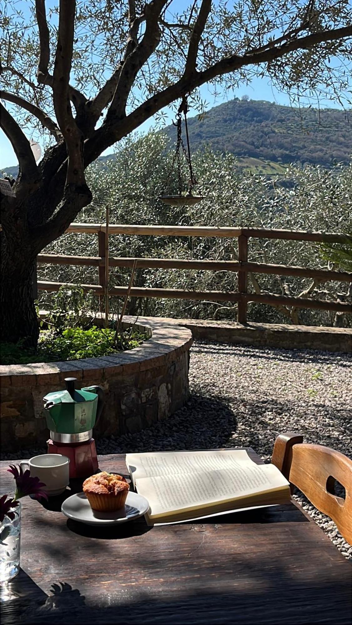 Bed & Breakfast Ristolab - Ritiro Mediterraneo Pollica
